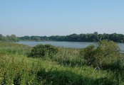 Velký Pavlovický rybník