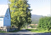 Ke Škaredé jedli