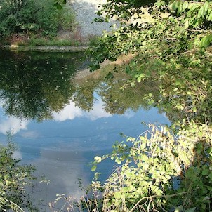 Svobodné Heřmanice