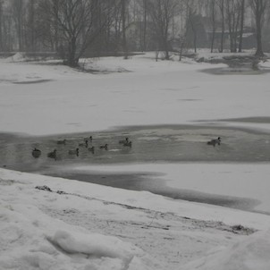 Zima 2006 na přehradě Baška