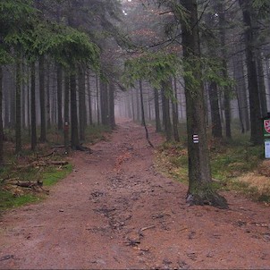 Velký Polom, cesta na vrchol - od Mostů u Jablunkova