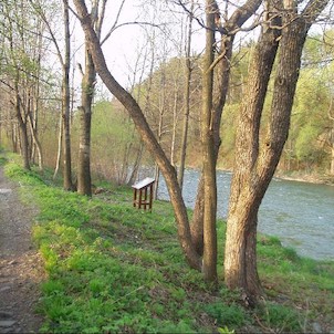 druhé zastavení na břehu Ostravice