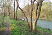 druhé zastavení na břehu Ostravice