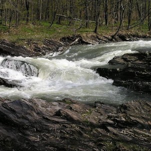 Koryto řeky Ostravice, Koryto řeky Ostravice