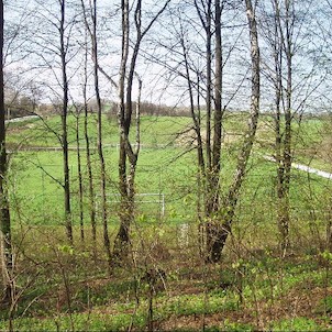 pohled z lesa na Okrouhlé na fotbalové hřiště ve Staříči