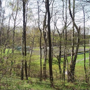pohled na škvárové hřiště u Staříše z lesa pod Okrouhlou