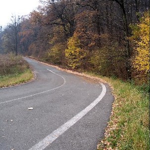 Velké doly, Stará cesta mezi Třincem a Českým Těšínem, napravo začíná přírodní rezervace Velké doly
