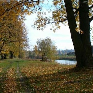 Ostravice