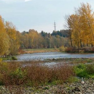 Ostravice