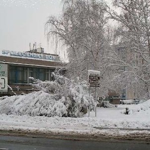 společenský dům