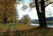 Ostravice