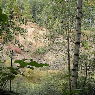 Žermanický lom, Žermanický lom - lom + mokřad