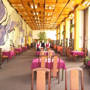 Hotel Piast