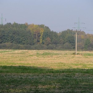 Bařiny od Bernartic