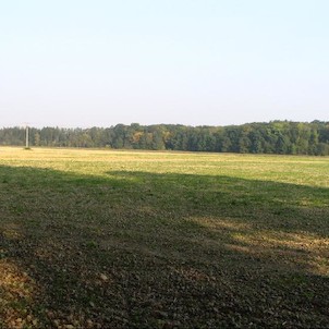 Bařiny od Bernartic