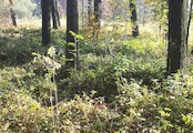 Pusté nivy, Pohled na rezervaci