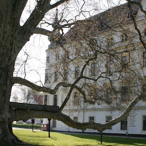 bartošovický zámek a památný strom
