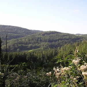 Na Čermence, Výhled do údolí od chráněného území