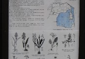 Přírodní rezervace Královec