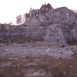 v arboretu