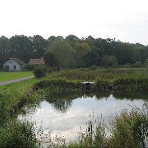 Rybníky v Trnávce