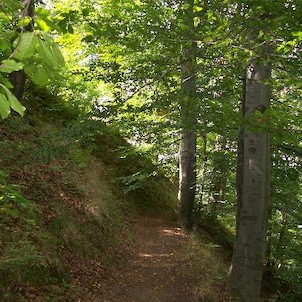 Chodník, Naučná stezka Bukový chodník, zámecký park