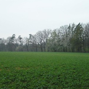 Okolí