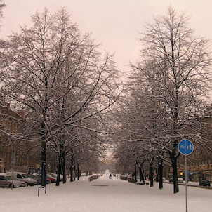 Hlavní třída, Ostrava-Poruba