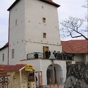 Slezskoostravský hrad