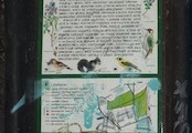 Turkov, Naučná tabule s informacemi o této přírodní památce(stav v létě 2004)