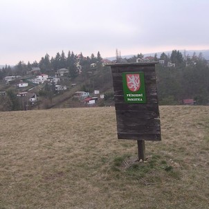Přírodní památka Čubernice