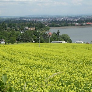 Plumlovská přehrada - v pozadí Prostějov