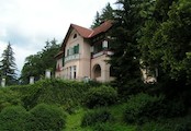 vila Otto Wichterle, Stražisko