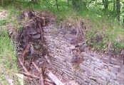 Vícov - Ježův hrad, Zbytky hradu Vícov, lidově zvaném Ježův hrad, nad soutokem Okluky a nejmenovaného potoka.