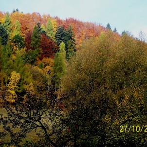 Podzim v Oskavě