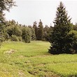 files/gallery/3824/27441.jpg