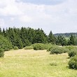 files/gallery/3937/28171.jpg