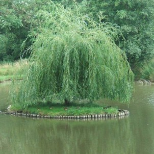 Ostrůvek