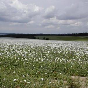 Krajina v mikroregionu SOTM