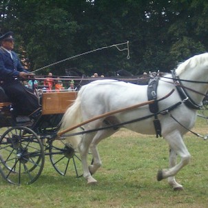 Jezdecký den 2007