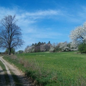 Nad Škrovádem 3