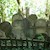 Židovský hřbitov v Jevíčku