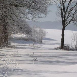zima 2004