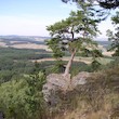 Kozelka (přírodní rezervace)