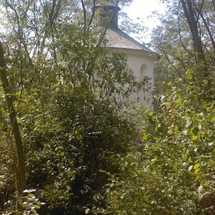 kaplička zarostlá