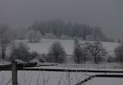Blažnov