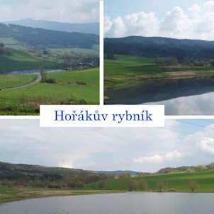 Hořákův rybník -Dešenice