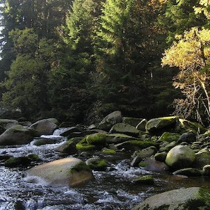 Vydra, podzim na Vydře