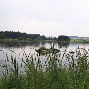 Rybník Zmrzlík