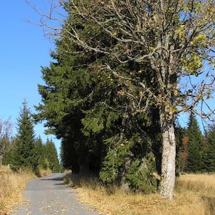 cesta nad hájovnou